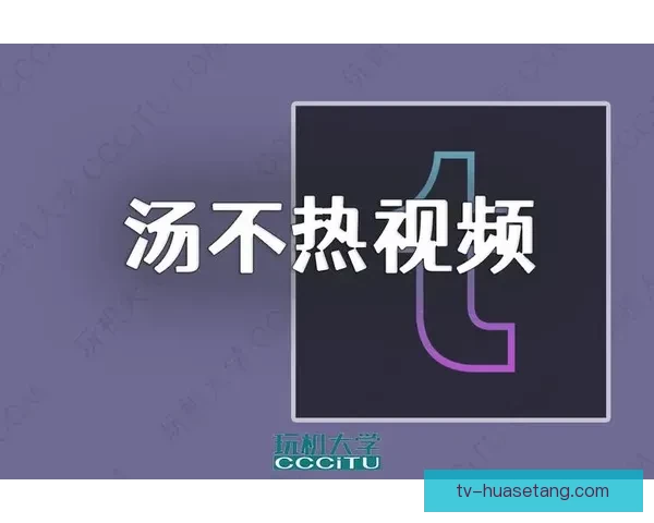 汤不热视频电脑：数字生活的掌上明珠，释放无限精彩